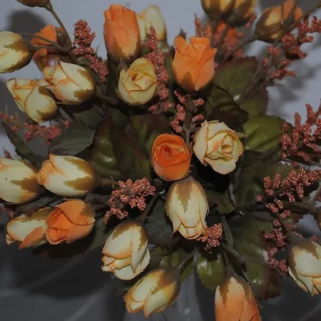 판타스틱 아파트 스플리트