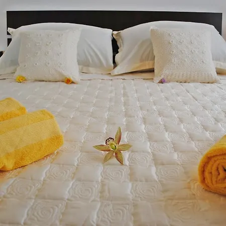 판타스틱 * 스플리트