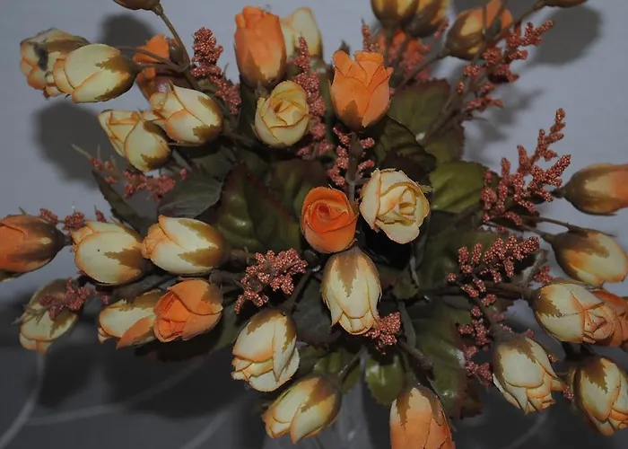 Fantastic Apartman Split